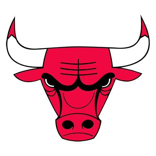 Chicago Bulls crest