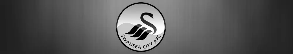Swansea banner