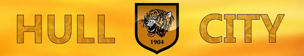 Hull City banner