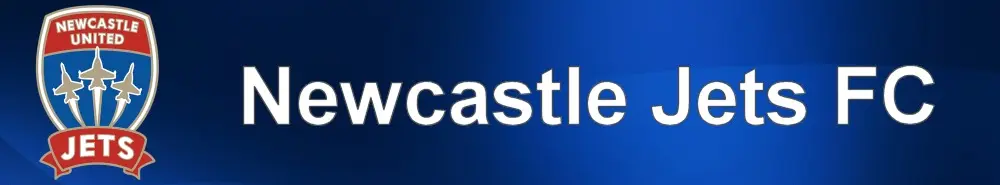 Newcastle banner