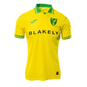 Norwich shirt