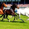 Mastering the Art of Betting a Trifecta: Strategies for Success