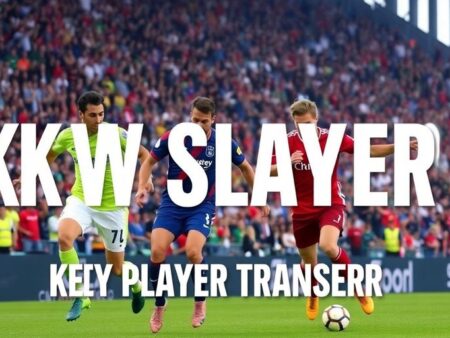The 2024-25 A-League Transfers: Key Moves and Insights for Every Club