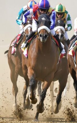 Uncovering Winning Tab Racing Tomorrow Tips for Savvy Bettors