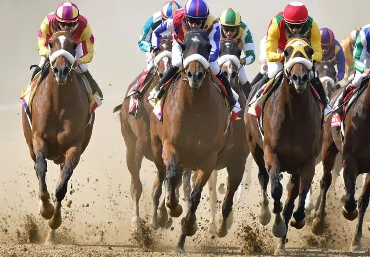 Uncovering Winning Tab Racing Tomorrow Tips for Savvy Bettors
